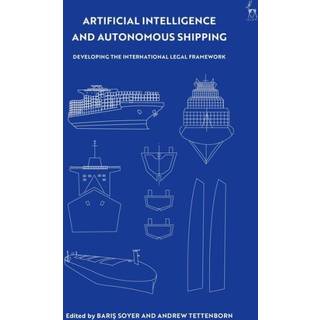 Artificial Intelligence and Autonomous Shipping