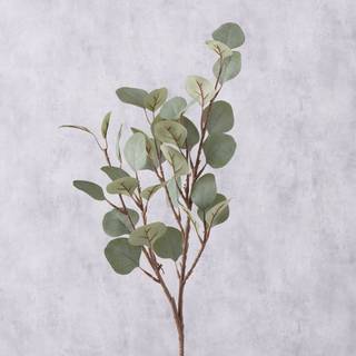 Dekogren Eukalyptus