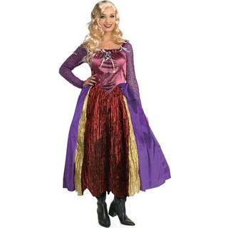 Salem Silly Witch Adult Costume | Stor 14-16