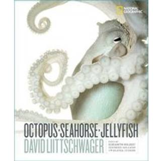 Octopus, Seahorse, Jellyfish