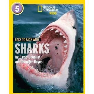 Face to Face with Sharks