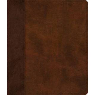 ESV Journaling Bible