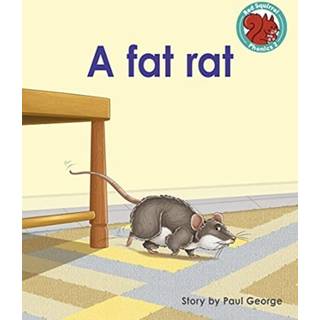 A fat rat