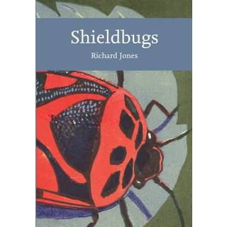 Shieldbugs