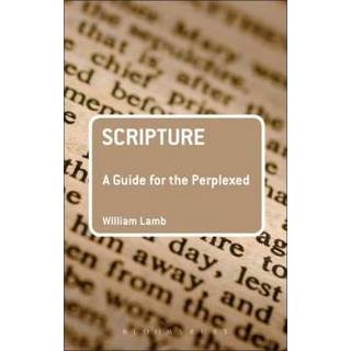 Scripture: A Guide for the Perplexed