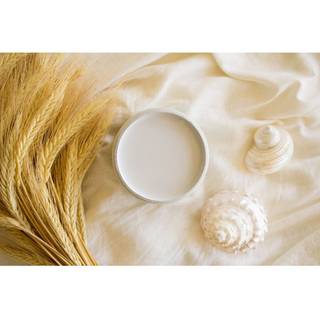 Dixie Belle Silk All-in-One Mineral Paint | Oyster (16 oz) | Cream Grey All-in-One Water Based Primer Topcoat | Hållbara möbler färg | Låg refle