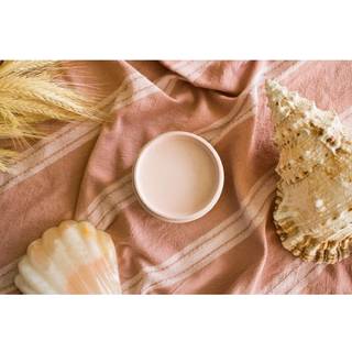 Dixie Belle Silk All-in-One Mineral Paint | Conch (16 oz) | Ganska rosa allt-i-ett-vattenbaserad primer topcoat | Hållbara möbler färg | Låg ref