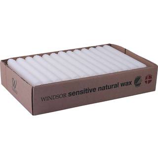 Windsor kronelys 2,2x20 cm 40-pak - hvid (På lager i varehus)