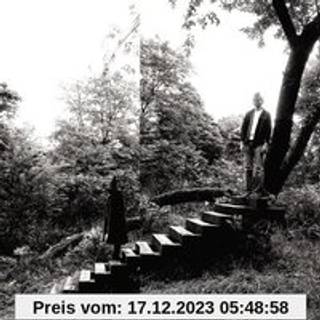 Timber Timbre