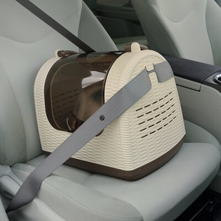Richell Faux Wicker Pet Carrier Rejsebrer til lille hund og kat med klar topdr