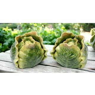 2,75-tommer malet grøn kål salt- og peberbøsse sæt — Håndmalet grøntsagsborddekoration