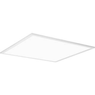 BRUMBERG Ailis LED-panel opal 3000K DALI