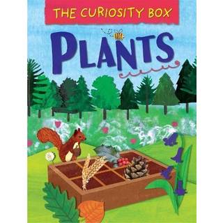 The Curiosity Box: Plants