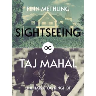 Sightseeing og Taj Majhal