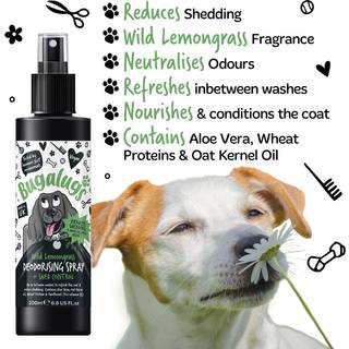 Bugalugs Duftspray med fældningskontrol og duft af Wild Lemongrass (200ml)