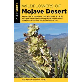 Mojave Desert Wildflowers