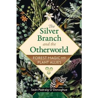 The Silver Branch and the Otherworld