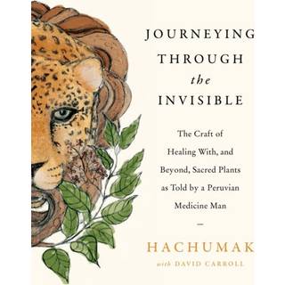 Journeying Through the Invisible