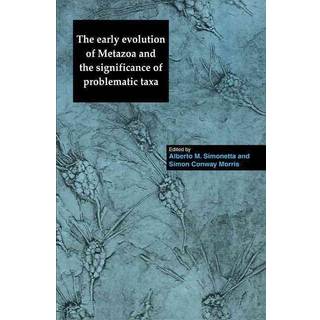 The Early Evolution of Metazoa and the Significance of Problematic Taxa
