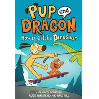 How to Catch Graphic Novels: How to Catch a Dinosaur