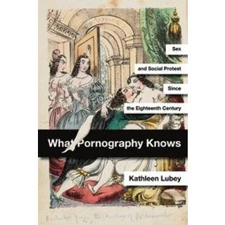What Pornography Knows