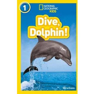 Dive, Dolphin!