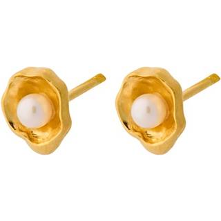 Pernille Corydon Hidden Pearl øreringe E-448-GP
