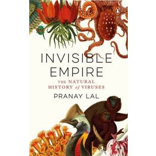 Invisible Empire