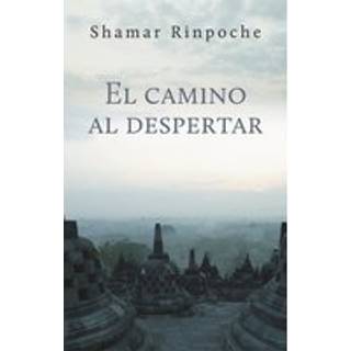 El camino al despertar