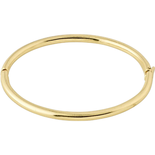Sophia Armring, Guld
