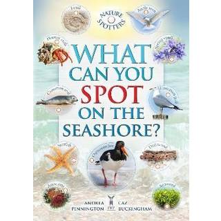 What Can You Spot on the Seashore?