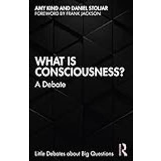 What is Consciousness?