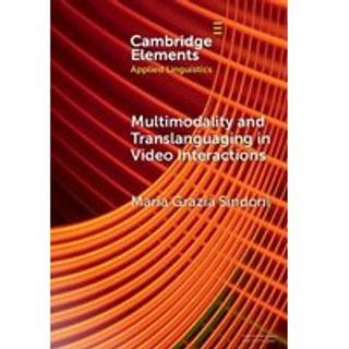 Multimodality and Translanguaging in Video Interactions