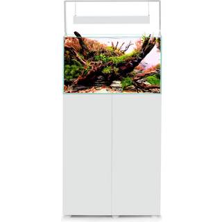 Ultrascape 60 snow akvarie