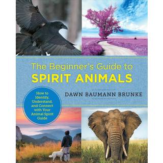 The Beginner's Guide to Spirit Animals