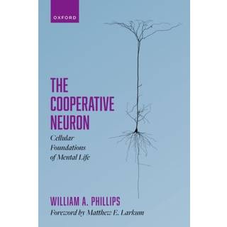 The Cooperative Neuron