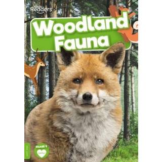 Woodland Fauna