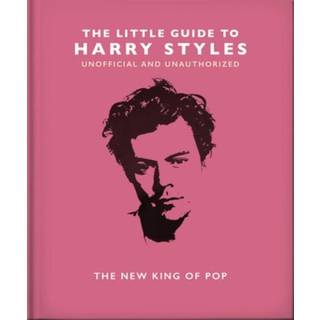 The Little Guide to Harry Styles