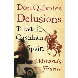 Don Quixote's Delusions
