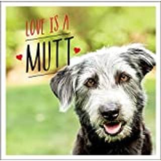 Love is a Mutt