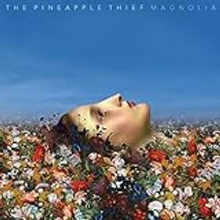 The Pineapple Thief - Magnolia
