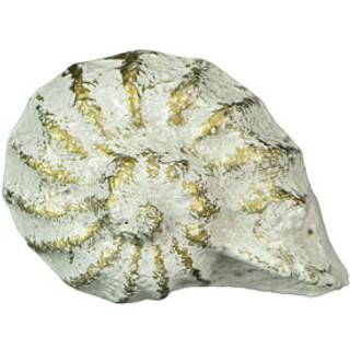 Zeckos sæt af 6 rustikke antikke hvide finish Støbejern Nautilus shell skuffe trækker - 2 inches lang - Nautiske muslingeskabinet