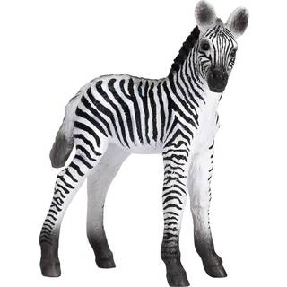 Mojo Zebra Føl