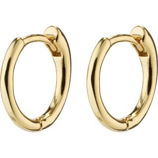 Pilgrim Eanna Øreringe 18 kt. Forgyldt Messing 682312033 - Dame - Brass