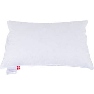 Ringsted Dun - Klodshans - 1-kammer pude - mellem - 50x70cm