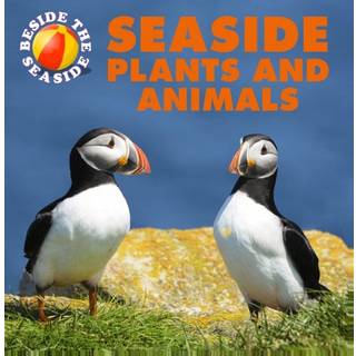 Beside the Seaside: Seaside Plants and Animals