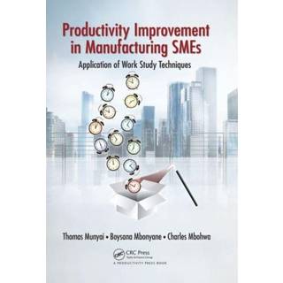 Productivity Improvement in Manufacturing SMEs