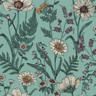 Albany Wallpaper Wild Meadow FD43338