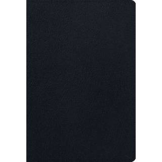 ESV Men's Study Bible