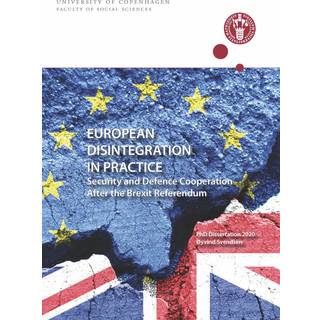 EUROPEAN DISINTEGRATION IN PRACTICE